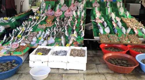 Balık tutkunlarını sevindirecek haber