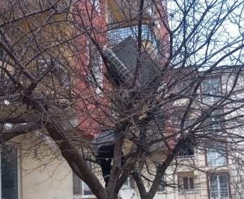 Balkondan Aşağı Attığı Eski Koltuk Ağaçta Takılı Kalınca Belediye Ekiplerinden Yardım İstedi
