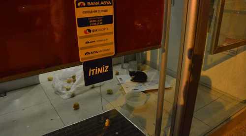 Bank Asya'da kedi operasyonu