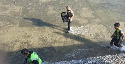 Barajdan taşan balıkları toplamak için yarıştılar