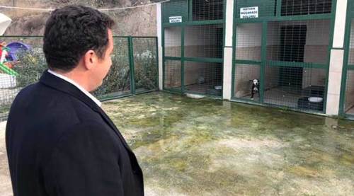 Başkan Bakıcı hayvan barınağını ziyaret etti