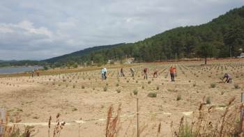 Başkan Biçer: Gölcük Cazibe Merkezi Olacak"
