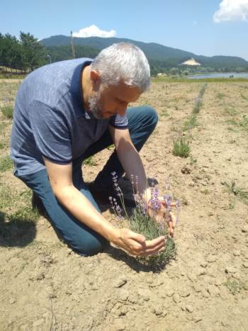 Başkan Biçer’Den Lavanta Bahçesine Özel Bakım
