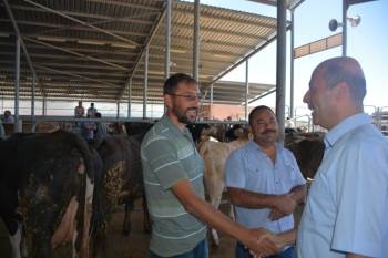 Başkan Bozkurt Kurban Pazarını Ziyaret Etti
