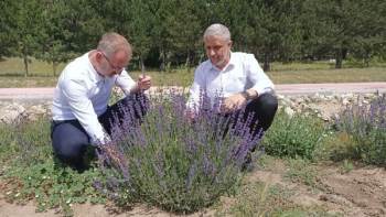 Başkan Ceyhun’Dan Gölcük Ziyareti
