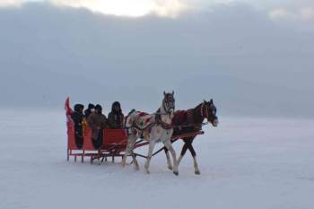 Başkan Şahin, Çıldır Gölü’Ne Atlı Kızakla Gezinti Yapmanın Keyfini Yaşadı
