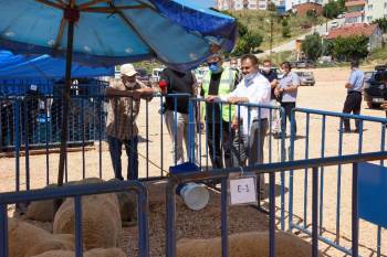 Başkan Şahin, Esnafın Dolmuş Talebini Yerine Getirdi
