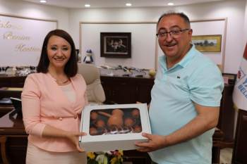 Başkan Tekin, Yalova Belediyesini Ziyaret Etti
