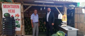 Başkan Vekili Taşgın Yatırımları Yerinde İnceledi
