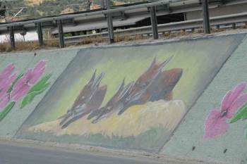 Başkan Yaman’In Tilki Sevgisi
