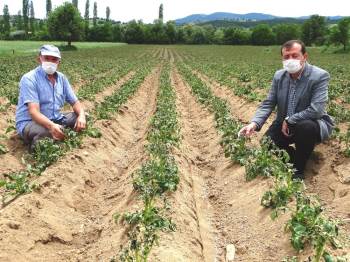 Başkan Yusuf Çalışkan: “Çiftçilere Don Zararı Desteği Ödemesi Yapılsın”
