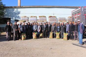 Başmakçı’Da Çiftçilere Yüzde 50 Hibe Destekli Buğday Tohumu Dağıtıldı
