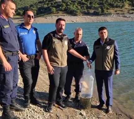 Bayat’ta balıkçılığa destek: 10 bin yavru balık suya kavuştu