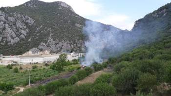 Bayırköy’De Orman Yangını
