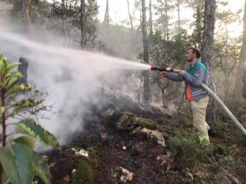 Bayırköy’De Ormanlık Alanda Yangın
