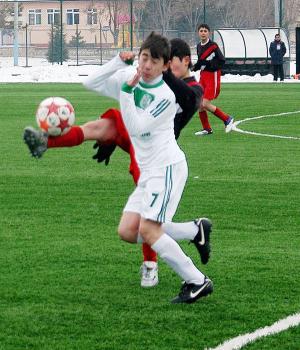 Demir ve DSİ zirvede