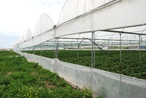 Tarımda maliyeti düşürecek proje