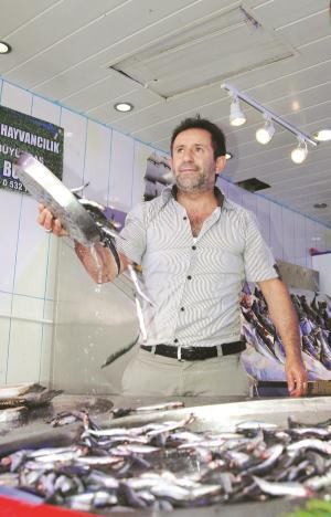 Derya kuzuları yüzleri güldürdü