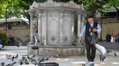 Bayramda eşini dostunu bıraktı, beslediği kuşlara koştu