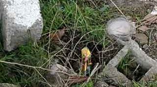 Bebeğini poşete koyup arsaya attı