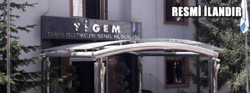 Belden Kırmalı Mini Yükleyici İş Makinesi mal alımı