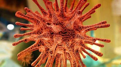 Belediye Başkanı da koronavirüse yakalandı!