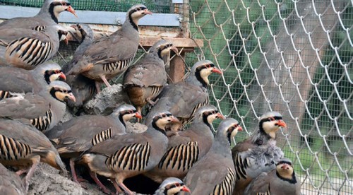Belediye olarak spora desteğe hazırız