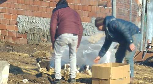 Belediye personelinden örnek davranış
