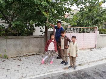 Beşik Gibi Sallanıyor
