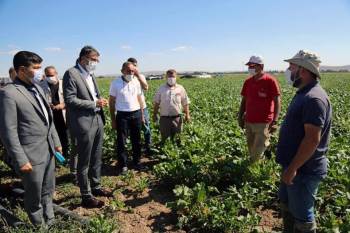 Beşkarış Barajı Bölgeye Can Suyu
