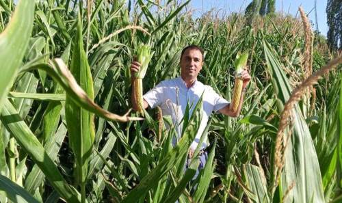 Beylikova Belediyesi hasat öncesi kontrolleri tamamladı