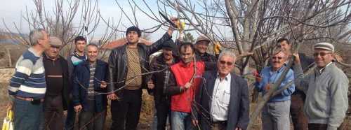 BEYLİKOVA’DA BEYLİK KURSLAR