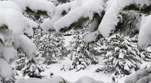 BEYPAZARI BEYAZA BÜRÜNDÜ