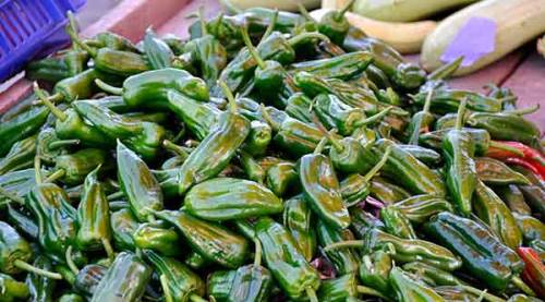 Biberin fiyatı dudak uçuklatıyor