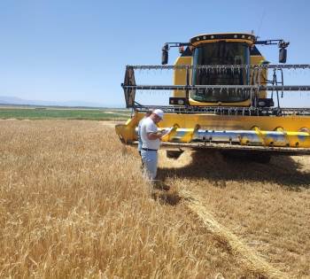 Biçerdöver Kontrolleri Devam Ediyor
