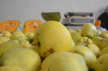 Bilecik Ayvası Tezgahlarda Yerini Aldı
