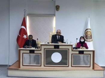 Bilecik Belediyeler Birliği Toplantısında Sokak Hayvanları Gündeme Alındı
