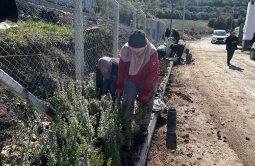 Bilecik Belediyesi bahar için şehri hazırlıyor