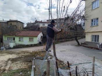 Bilecik Belediyesi Kenti Bahara Hazırlıyor
