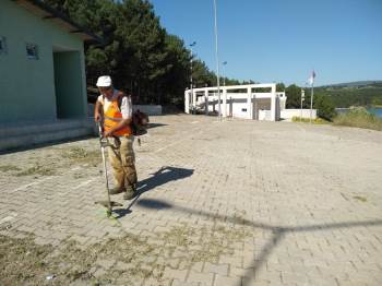 Bilecik Belediyesi’Nden Ot Temizliği
