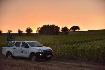Bilecik Belediyesi’Nin Çayır Tırtılı İle Mücadele Çalışmaları Devam Ediyor

