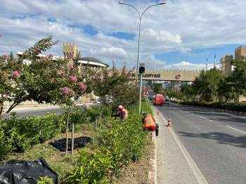 Bilecik Belediyesi’Nin Fiziki Çalışmalarıyla Kent Geneli Güzelleşiyor
