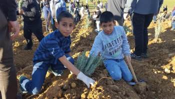 Bilecik’E Lavanta Bahçesi Oluşturuldu
