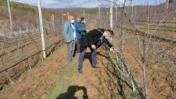 Bilecik İl Tarım Ve Orman Müdürlüğü’Nün Haftalık Çalışmaları
