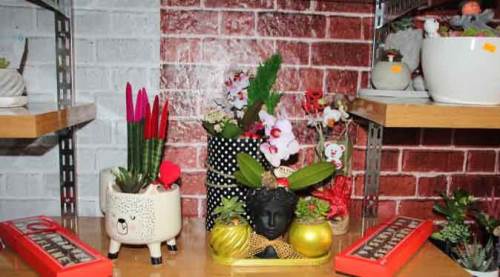 Bilecik’te “Covid-14” çiçeğine yoğun ilgi!