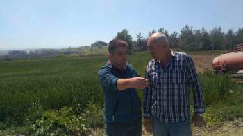 Bilecik’Te ‘Süne Nimf Sürvey’ Çalışmaları Talimatı Verildi
