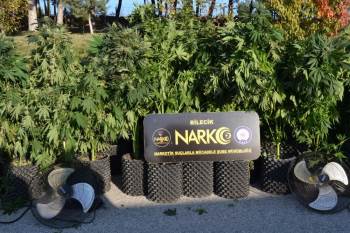 Bilecik’Te 1 Milyon Liralık Skunk Maddesi Ele Geçirdi
