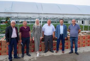 Bilecik’Te 118 Bin 750 Adet Sebze Fidesini Çiftçilere Dağıtacak
