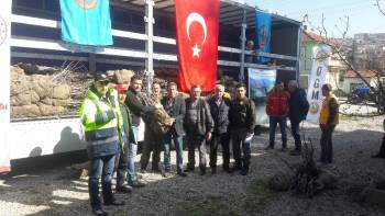 Bilecik’Te 12 Köye 13 Bin Fidan Dağıtıldı
