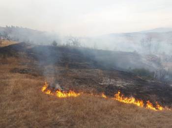 Bilecik’Te 20 Dönüm Makilik Alan Kül Oldu
